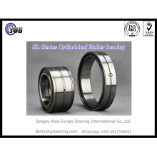 Double Row Cylindrical Roller Bearing SL045036ppnr